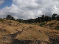 rrente Quarantore-20110911 183